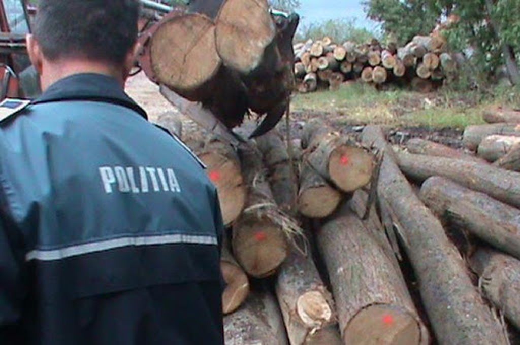 DELICTE SILVICE CONSTATATE DE POLIȚIȘTII BIHORENI