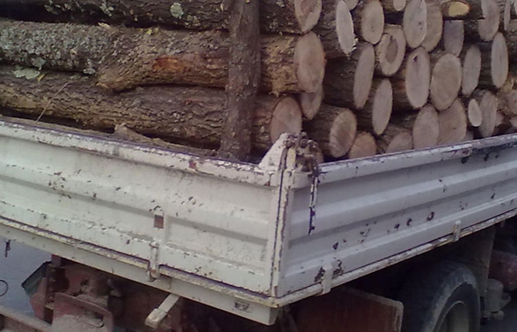 DELICT SILVIC