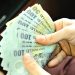 IMM Invest în 2 săptămâni: 12 firme creditate, 319 respinse de bănci