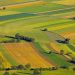 Cadastrarea terenurilor, fără extrasul de carte funciară