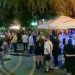 Chef în Herăstrău. Autorizaţii de funcţionare suspendate