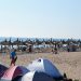 Se redeschid plajele! Ce măsuri de siguranţă trebuie luate
