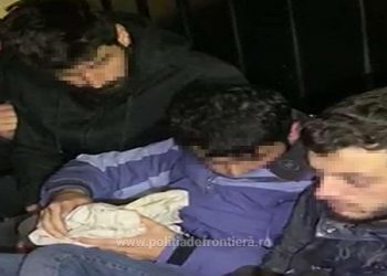 VIDEO. Ascunși printre piese auto, 21 de sirieni și palestieni încercau să ajungă ilegal în Occident