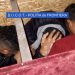 Microbuze care duceau români la muncă, în Occident, folosite ca paravan de o reţea de traficanţi de migranţi