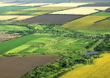 Vânzarea terenurilor agricole către străini, interzisă prin lege