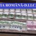 Percheziții la suspecți de trafic de droguri. Polițiștii au găsit canabis, bani și mai multe arme