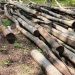 100 de metri cubi de lemne, fără documente, confiscate de polițiștii de la o firmă din Bihor