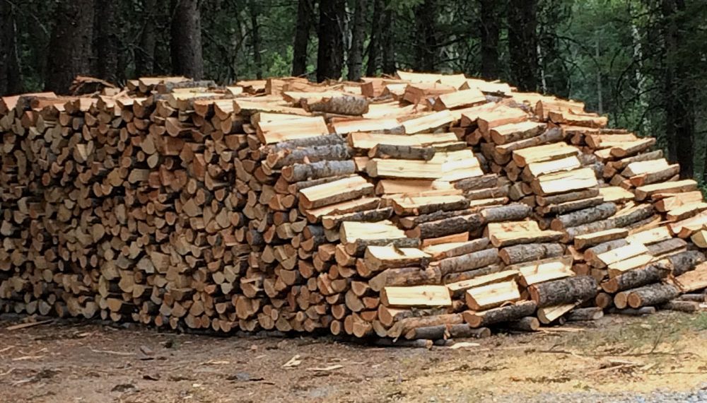 350 de metri cubi de lemn, vânduți FĂRĂ ACTE de o firmă din Bihor