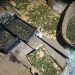 FOTO. Canabis găsit în podul unei case din Beiuș | Procurorii DIICOT au ridicat peste un kilogram de frunze și muguri de canabis