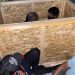 ”Invazie” la granița de vest. 70 de migranți au fost găsiți în trei autotrenuri și un microbuz