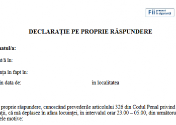 MODELUL declarației pe propria răspundere | Documentul este necesar de luni