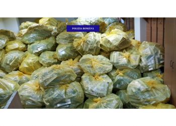 Anchetă finalizată în cazul unui patron pe care polițiștii l-au lăsat, de Moș Nicolae, fără 4,5 milioane de țigări de contrabandă