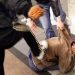 Patru orădeni implicați într-o bătaie CRUNTĂ într-un bar, trimiși la închisoare după 8 ani de la comiterea faptei | Și-au călcat victima cu picioarele pe cap