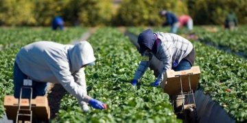 Ce trebuie să știți înainte să plecați la muncă în străinătate | Recomandări făcute de Inspecția Muncii