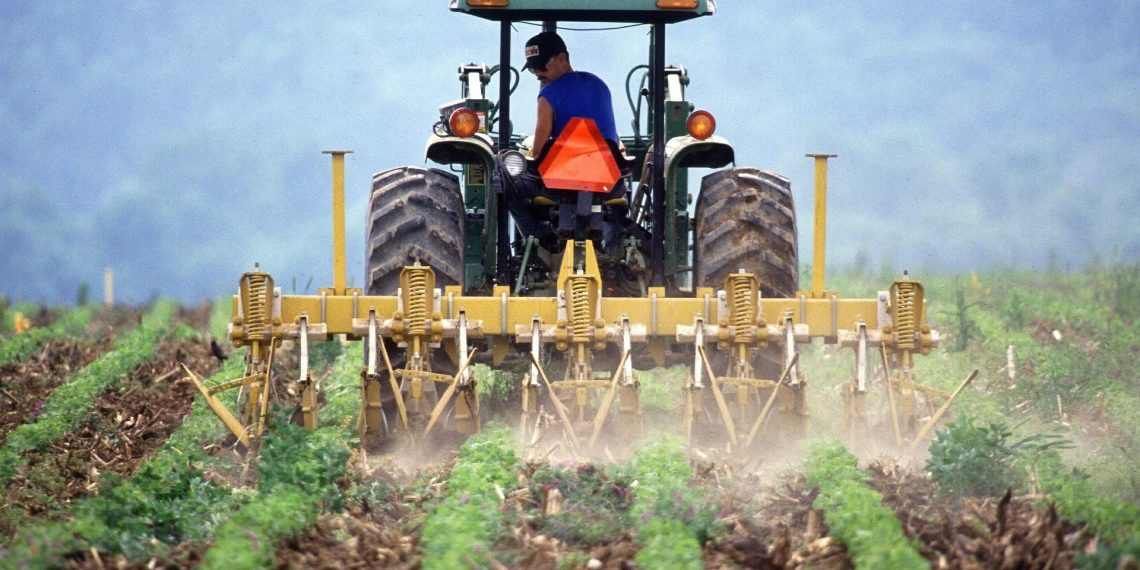 Fermierii îi cer premierului să revină asupra unui act normativ care prevede tăieri de peste 50% din sumele alocate în 2021