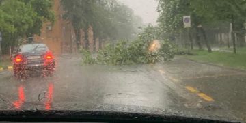FOTO. Mai mulți copaci doborâți de vânt în Oradea, duminică seară | Probleme și în județ în urma codului portocaliu de furtună