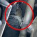 Un avocat îl dă în judecată pe primarul Capitalei după ce șobolanii i-au ros cureaua de la alternatorul mașinii
