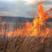 VIDEO. Incendiu de amploare lângă Oradea | Focul s-a extins pe mai bine de 10 hectare de teren și amenință o fermă și mai multe gospodării
