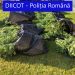 VIDEO-FOTO | Cultură de cannabis, descoperită într-un solariu de legume