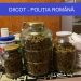 FOTO. Percheziții la suspecți de trafic de droguri | Au fost găsite cocaină, ecstasy, dar și pistoale