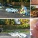 Despăgubiri de 640.000 de euro, acordate de Curtea de Apel Oradea în urma unui accident cu trei morți | Autorii vor sta câte 3 ani și 8 luni în închisoare