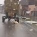 VIDEO. Barbarie fără margini într-un sat din Bihor | Un bărbat și-a legat câinele de căruță și l-a târât pe drum până l-a ucis