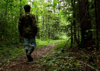 Pedepse înăsprite | Violența împotriva pădurarilor, pedepsită la fel ca în cazul jandarmilor și polițiștilor