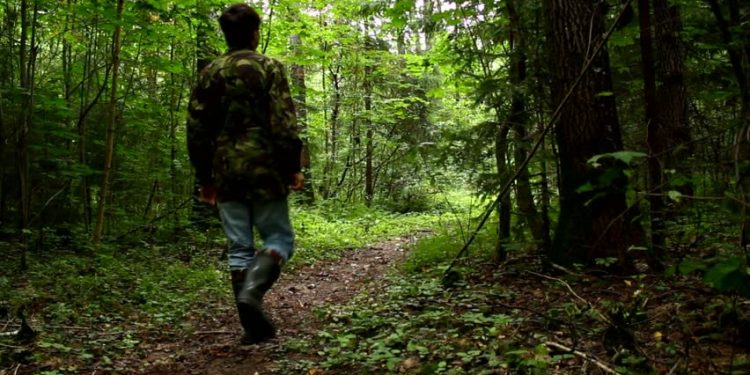 Pedepse înăsprite | Violența împotriva pădurarilor, pedepsită la fel ca în cazul jandarmilor și polițiștilor