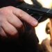 Scandal după o tamponare petrecută în Oradea | Un bărbat a fost arestat după ce l-a amenințat cu un pistol pe celălalt șofer și i-a cerut bani pentru daunele produse