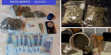 FOTO. Doi orădeni, prinși în timp ce încercau să vândă cannabis | Peste 1 kilogram de droguri a fost găsit în urma perchezițiilor care au urmat