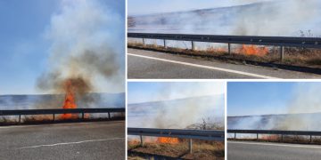 VIDEO-FOTO. Flăcări înalte de câțiva metri la marginea unui drum de la limita dintre Bihor și Sălaj | Un incendiu de vegetație pune în pericol traficul auto