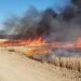 Cadavrul carbonizat al unui bărbat, găsit pe un câmp din Bihor | 10 hectare au fost cuprinse de un incendiu de vegetație uscată