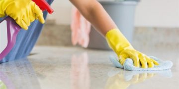 Zilierii, bonele, îngrijitorii ori servitorii vor fi plătiți cu tichete de 15 lei și vor putea primi pensie | Proiect de lege, adoptat de Guvern