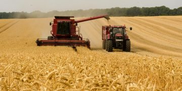 Rural Invest 2022 | Pentru ce investiții primesc bani fermierii români