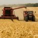 Rural Invest 2022 | Pentru ce investiții primesc bani fermierii români