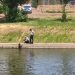 FOTO | Doi polițiști rutieri orădeni au salvat un câine căzut în Crișul Repede