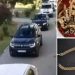 Operațiune uriașă a DIICOT | Peste 200 de percheziții în mai multe județe, printre care și în Bihor, într-un caz de contrabandă cu aur