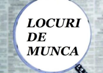 Locuri de muncă vacante la nivel național și în rețeaua EURES