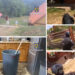 VIDEO. Primul laborator de extragere secundară a cocainei din România, descoperit într-o cabană din Bihor | Un grup de traficanți a adus în România 6 kilograme de cocaină