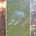 VIDEO. Arde pădurea! | Un incendiu a cuprins o suprafață de două hectare de teren la Pădurea Neagră