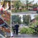 FOTO. O furtună scurtă a făcut pagube în Bihor: copaci căzuți, beciuri inundate, cabluri de curent rupte și o mașină avariată