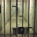 Deținutul care a incendiat o celulă în Penitenciarul Oradea a murit la spital