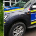 Încă o reținere în cazul câinelui spânzurat într-o pădure din Bihor | Un bărbat a ajuns în arest după ce i-a mințit pe anchetatori