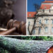 Curtea de Apel Oradea | Achitări într-un dosar de tăieri ilegale și furt de arbori. În primă instanță au fost aplicate pedepse de până la 9 ani și 4 luni de închisoare