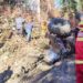 Doi bărbați, găsiți morți într-o pădure de lângă Beiuș, lângă un utilaj forestier răsturnat