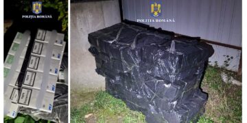 Urmărire pe DN1, lângă Oradea, pentru prinderea unui contrabandist | Suspectul a abandonat mașina pe un câmp și a fugit
