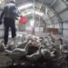 Pericol la granița cu Ungaria | Focar de gripă aviară la o fermă de gâște din Bekes