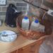 Decizie în cazul laboratorului de extragere a cocainei, descoperit într-o cabană din Bihor | Ce se întâmplă cu Miță, Sisi, Paco și ”prietenii” lor din Israel și Columbia, inculpați în acest dosar