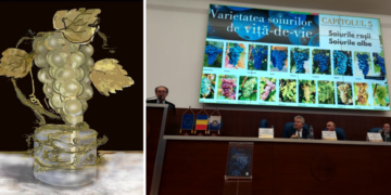 Singura statuie din lume dedicată strugurelui, ridicată la inițiativa oenologului orădean Dorin Popa