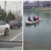Un orădean s-a aruncat în Crișul Repede după ce și-a agresat concubina și a lovit mai multe mașini